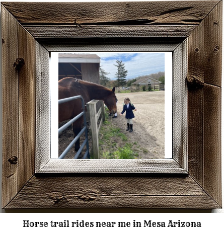 horse trail rides near me in Mesa, Arizona